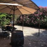photo ext&Atilde;&copy;rieur tonneau