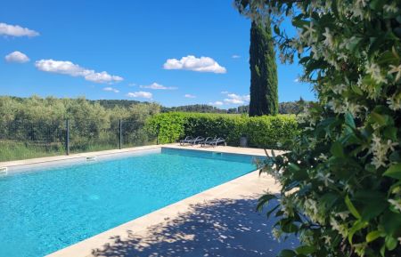 G&icirc;te n&deg;13G190207 Maussane-les-Alpilles - Bouches-du-Rh&ocirc;ne - Piscine avec vue sur les oliviers 