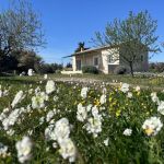 gite - La Petite Pointe Cocagne - MAUSSANE LES ALPILLES - Bouches-du-Rhône