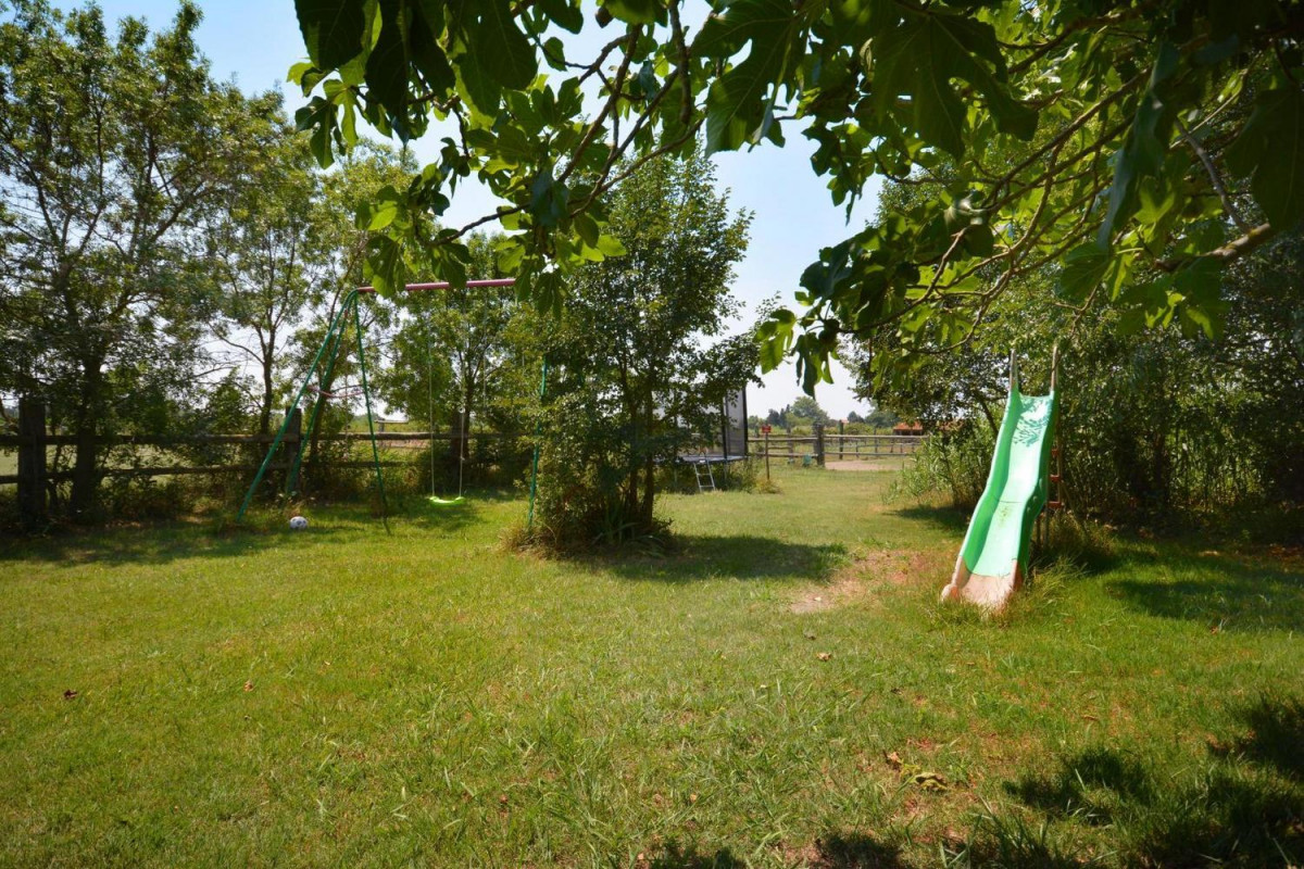 photo 39