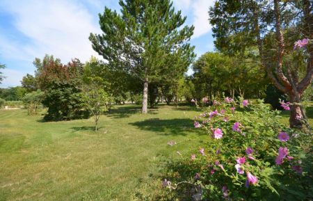 G&icirc;te n&deg;13G555 Noves - Bouches-du-Rh&ocirc;ne - L'&eacute;t&eacute; dans le parc